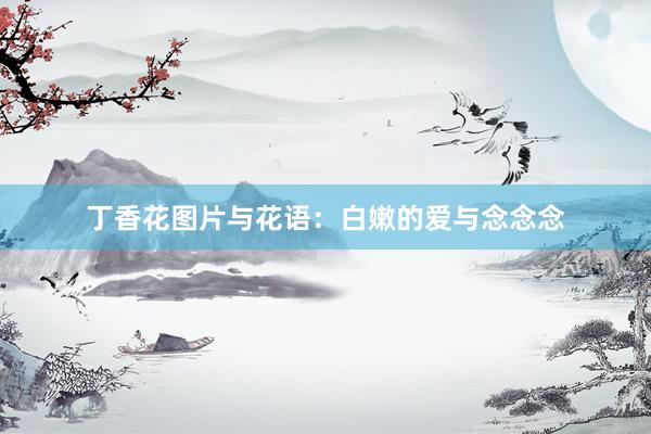 丁香花图片与花语：白嫩的爱与念念念