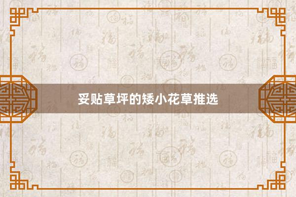 妥贴草坪的矮小花草推选
